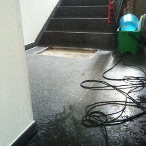 Ob Büros, Geschäfte oder Privathaushalte – mit unseren umfassenden Leistungen in der Gebäudereinigung sagen wir dem Schmutz den Kampf an! Ob Büros, Geschäfte oder Privathaushalte – mit unseren umfassenden Leistungen in der Gebäudereinigung sagen wir dem Schmutz den Kampf an!