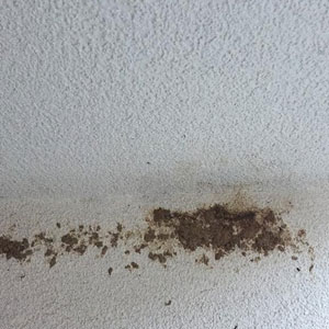 Wir befreien Ihr Haus von lästigen Graffitis und Schmierereien. Kontaktieren Sie Ihren Experten für die Graffitientfernung im Raum Hamburg!