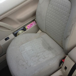 Ob Sofas, Sessel oder Autositze – unsere Reinigungsprofis aus Wentorf bei Hamburg bringen mit der Polsterreinigung Ihre Polstermöbel in Schuss! Ob Sofas, Sessel oder Autositze – unsere Reinigungsprofis aus Wentorf bei Hamburg bringen mit der Polsterreinigung Ihre Polstermöbel in Schuss!